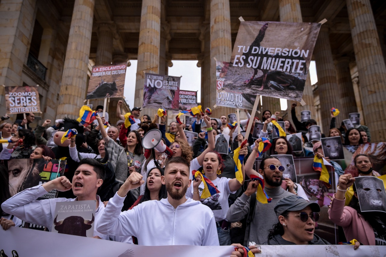 Protestas en defensa de los derechos animales