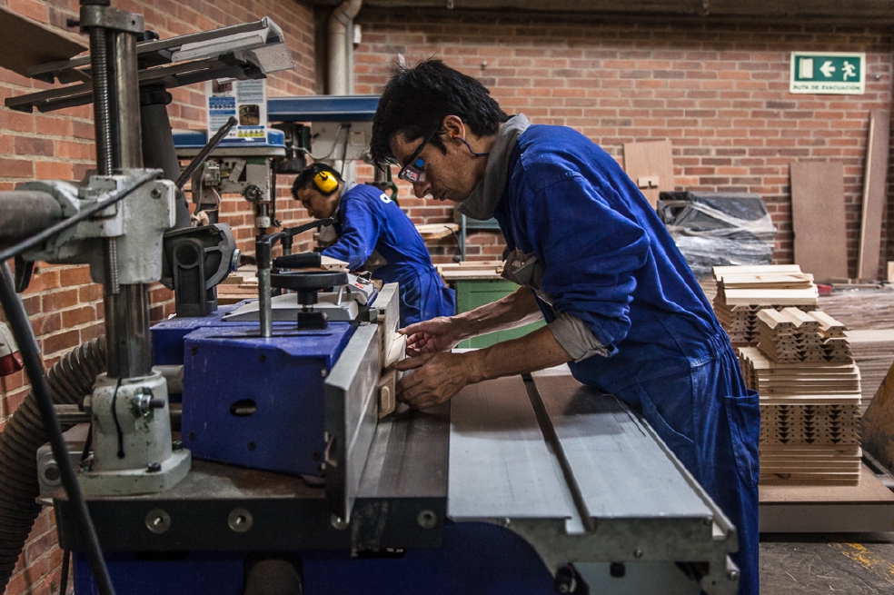 Contra el tráfico ilegal de madera desde un computador