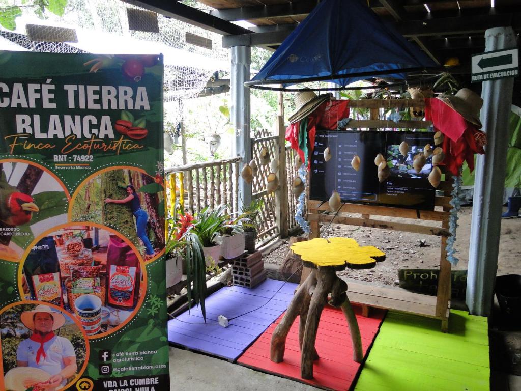 Turismo cafetero en Neiva: el encanto de la Finca Café Tierra Blanca
