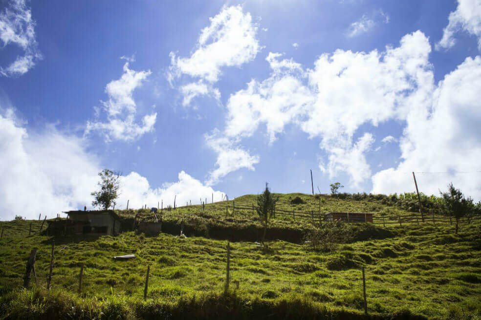 Buenas noticias: en Colombia encuentran siete nuevas especies para la ciencia