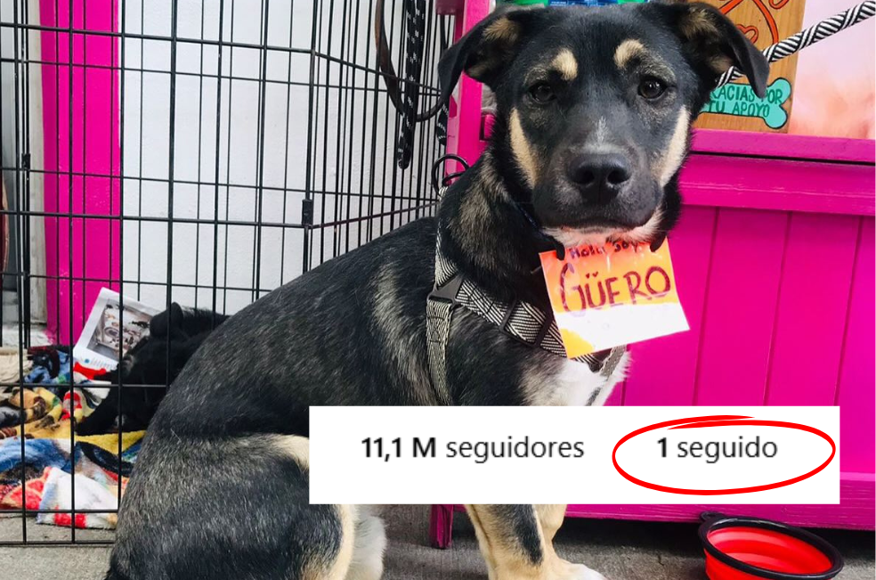 ¿Por qué Tom Hardy solo sigue a una cuenta en Instagram?: la razón es conmovedora