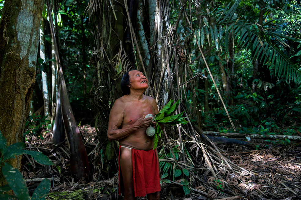 Rousseff tachó de «absurda» la idea de Macron de internacionalizar la Amazonía