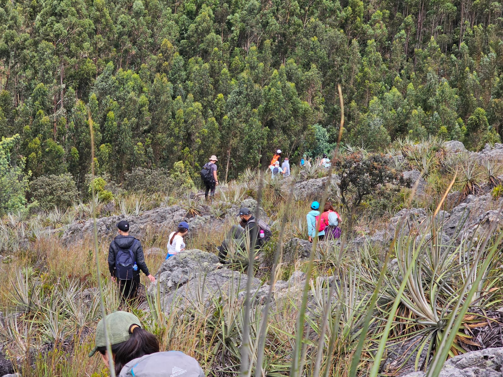 Cómo actuar si está perdido en la montaña: consejos esenciales