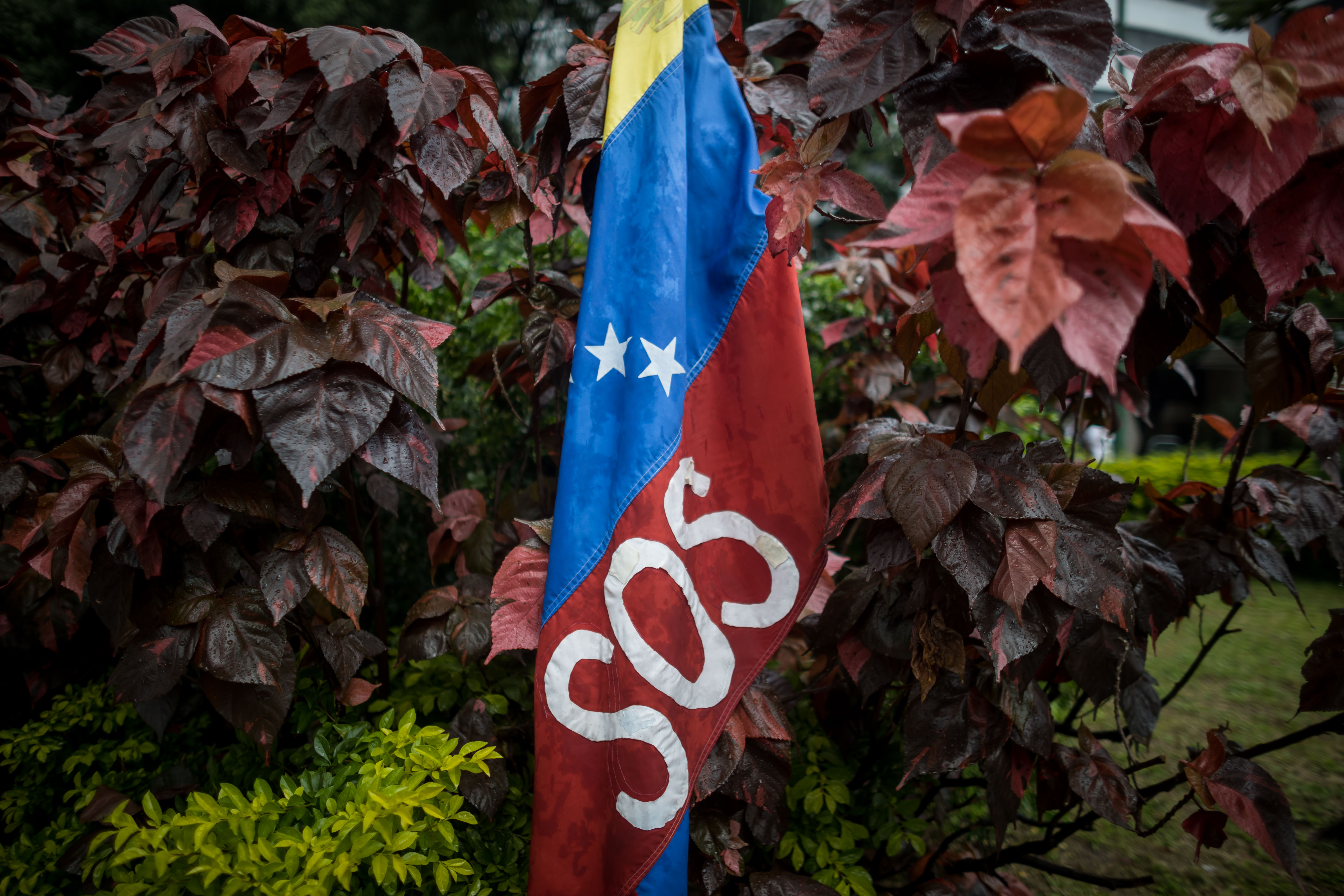 Gobierno de Venezuela intensificó ataques para silenciar a la oposición: ONU