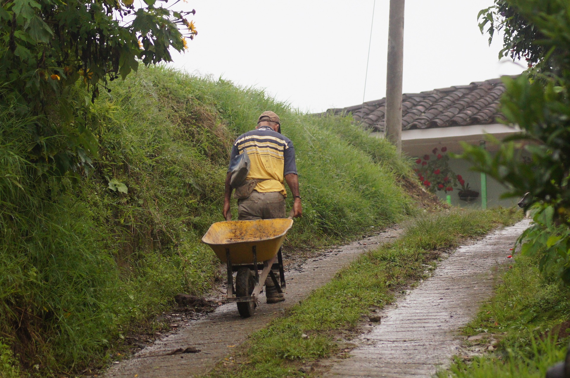 Campesinos comenzarán a cultivar los predios comprados a Fedegán