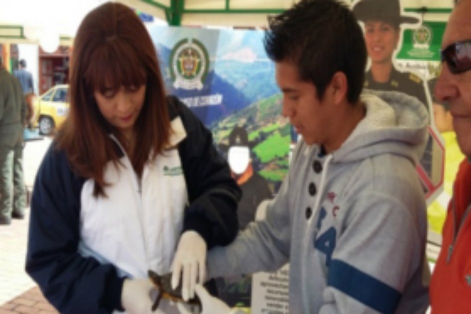 Jornada de entrega de animales silvestres /Corponariño.