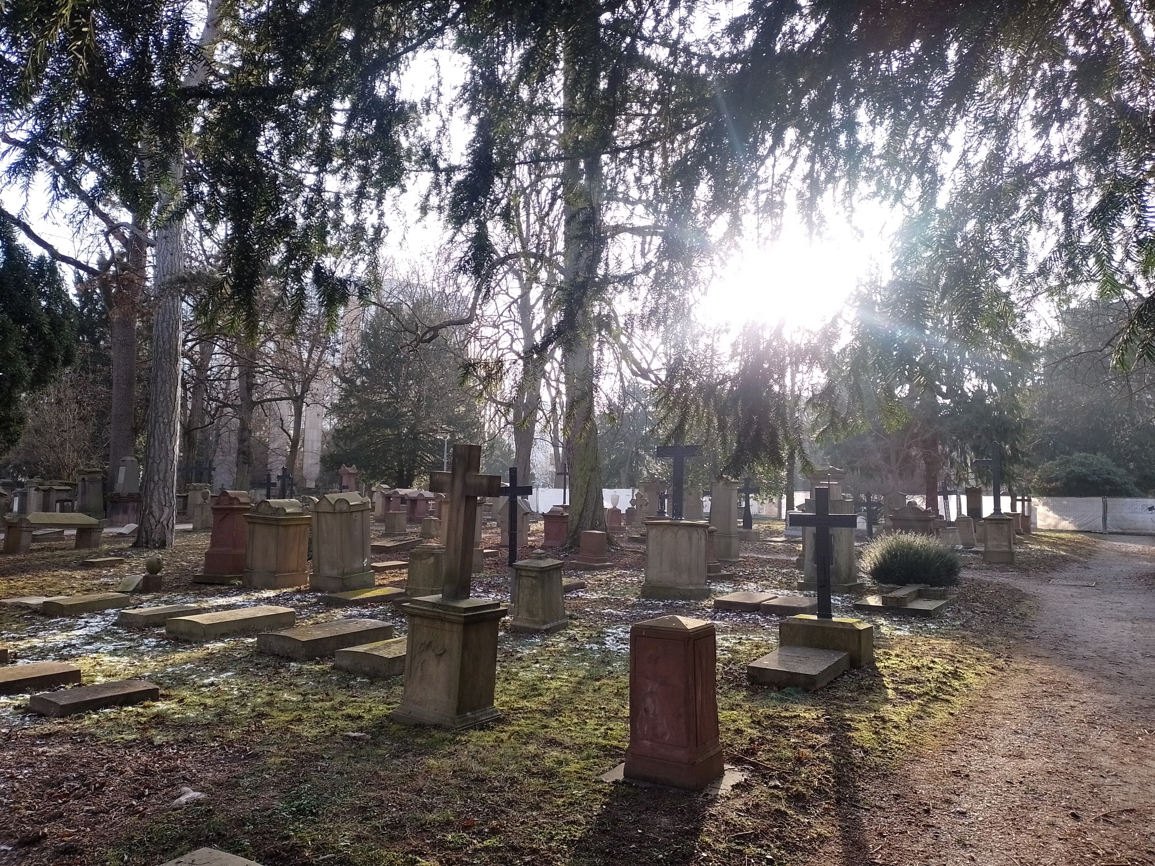 8.	El cementerio de Hoppenlauffriedhof, el más antiguo de Stuttgart con sus altos árboles y monumentos desgastados por el paso del tiempo, desprende una atmósfera mística y aterradora.