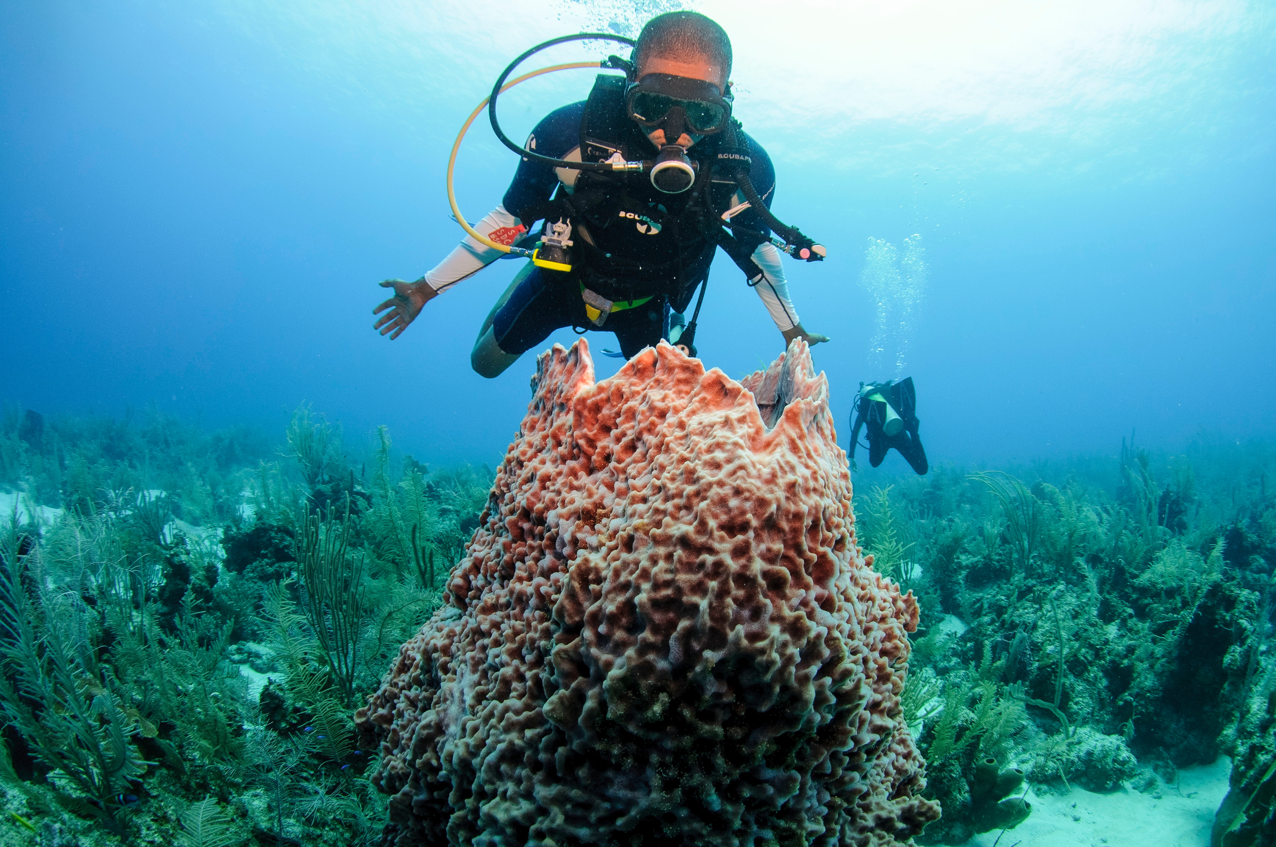 Belice es el destino ideal para los amantes del buceo.