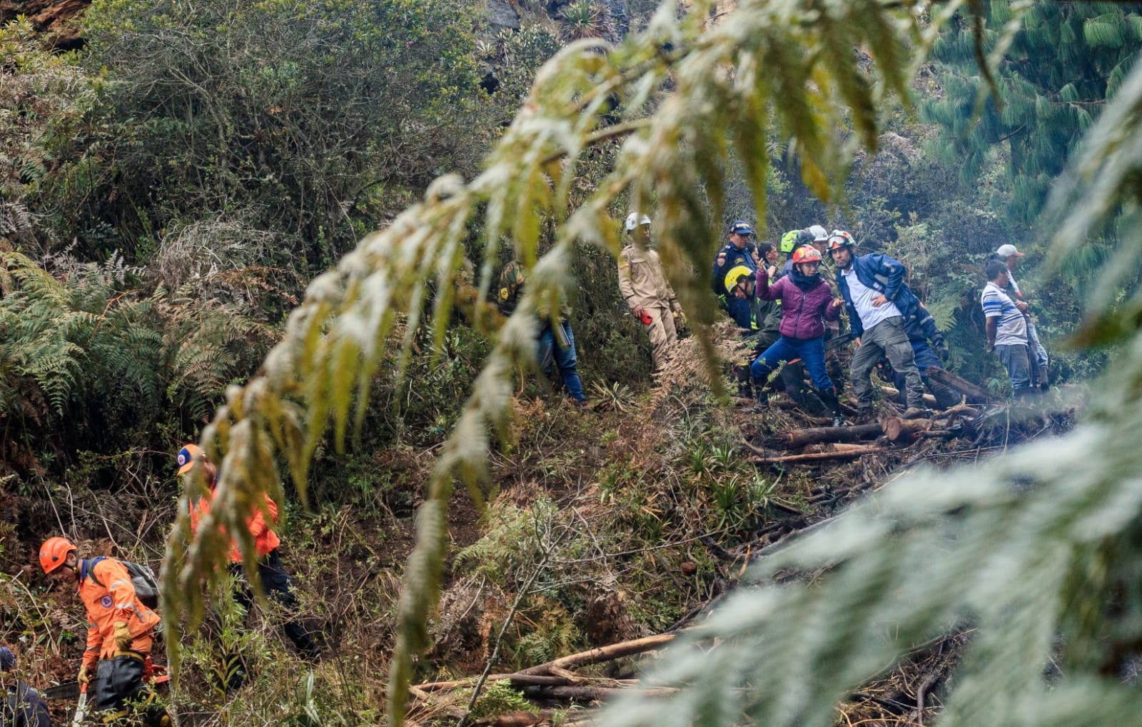 Organismos de socorro trabajan este 14 de noviembre en la zona de Arboreto, en La Calera, para tratar de encontrar a una persona reportada como desaparecida.