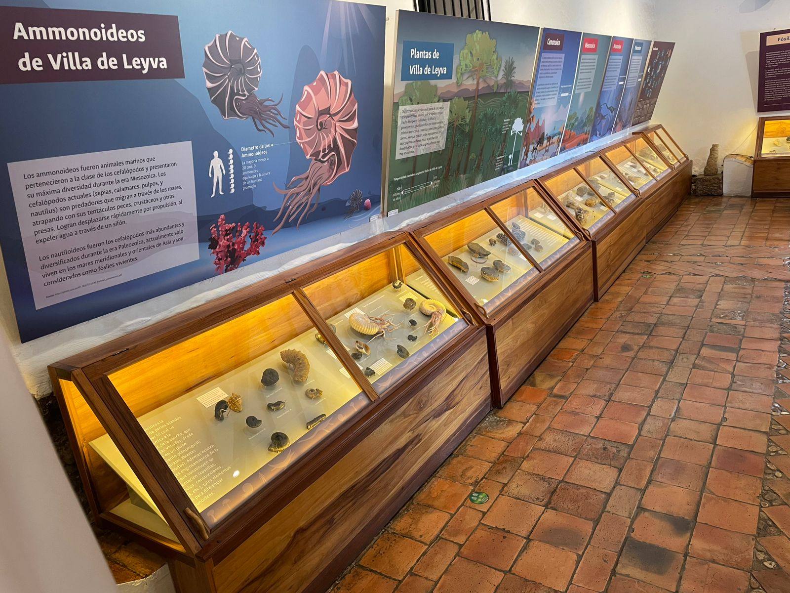 Museo paleontológico