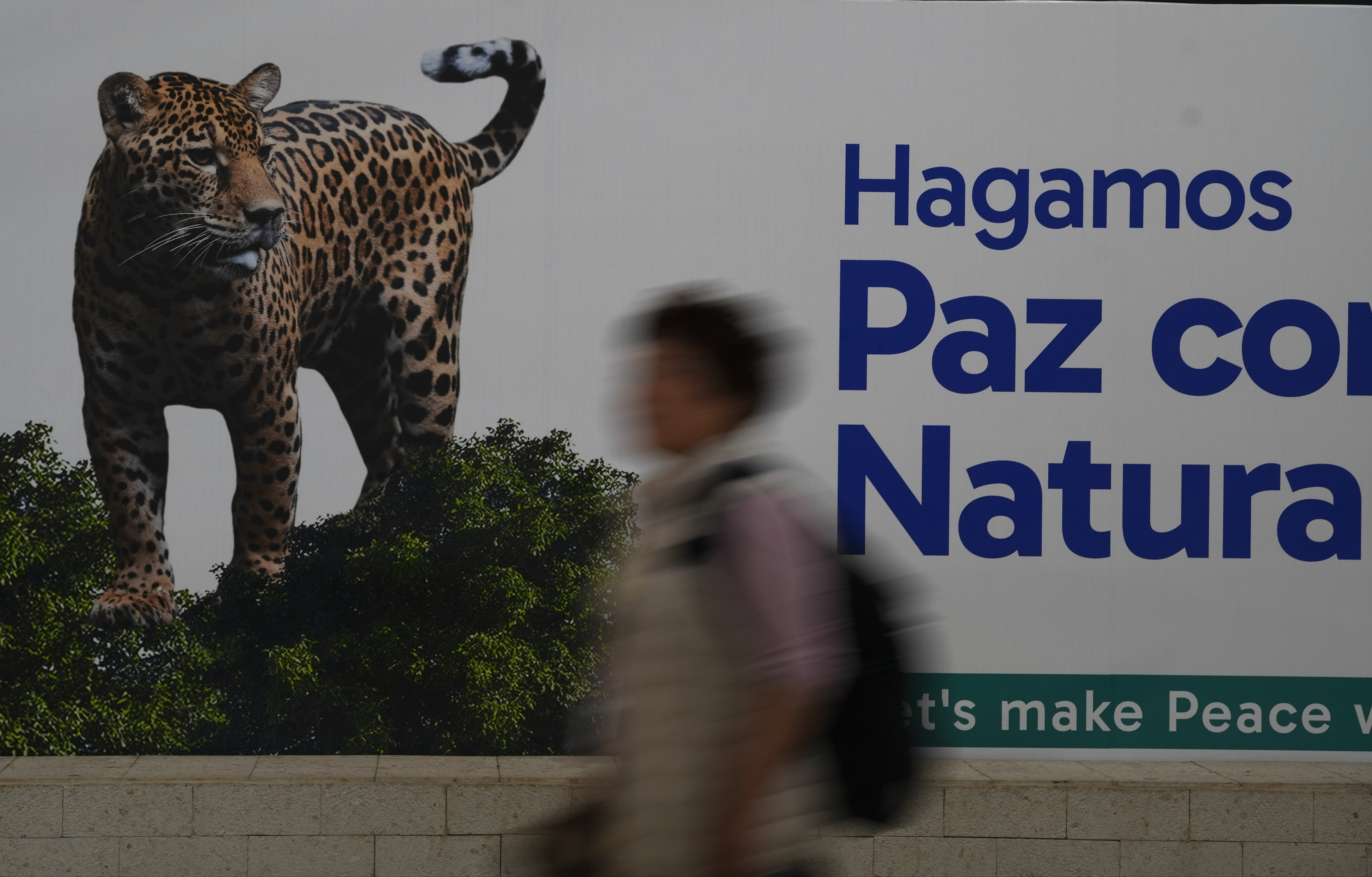 Ya pasó la COP16, en Colombia. ¿Y ahora qué?