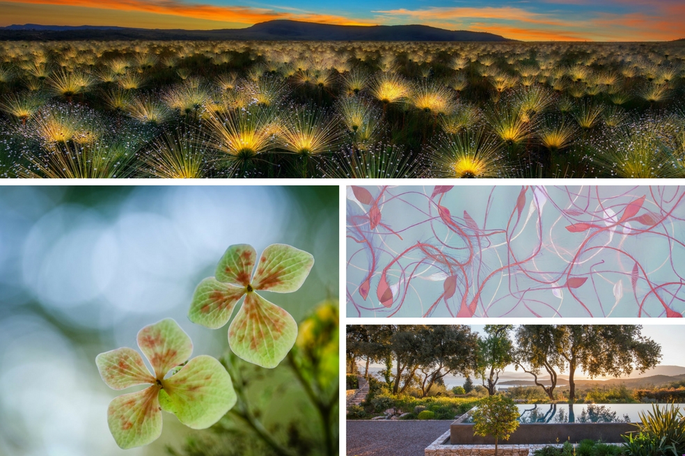 Las fotografías de los mejores jardines de este año