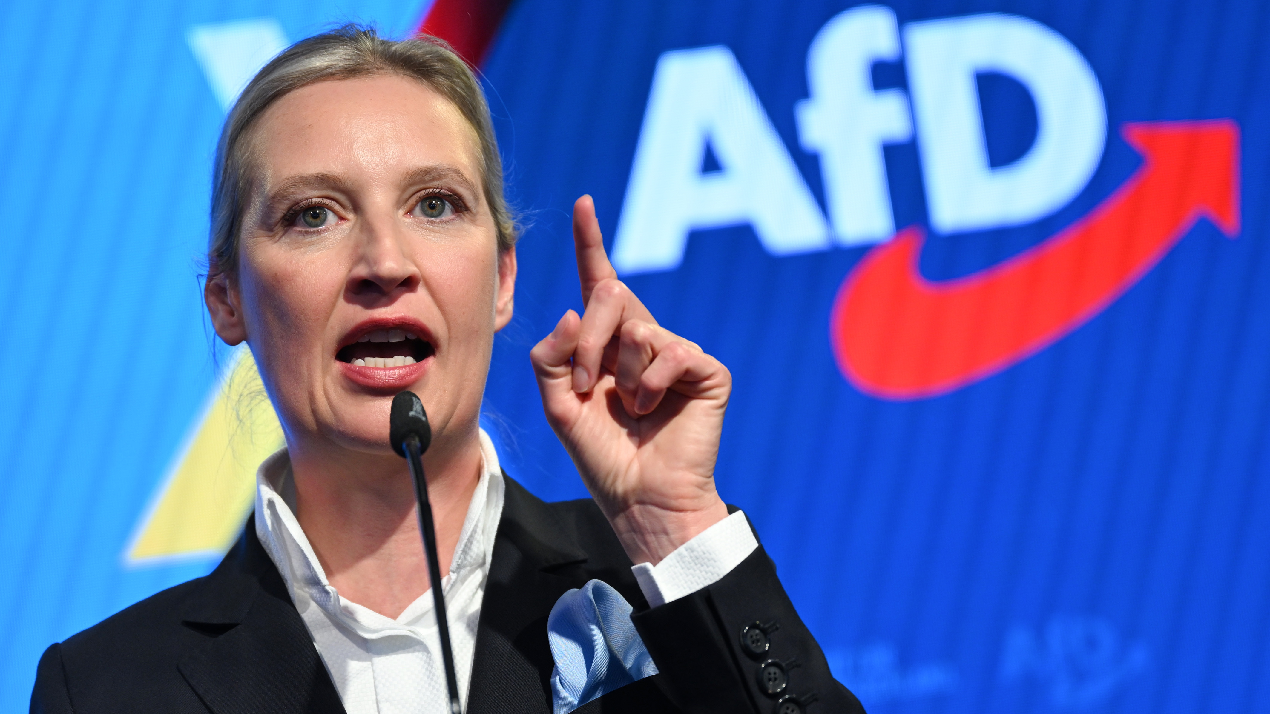 De Hitler a Weidel