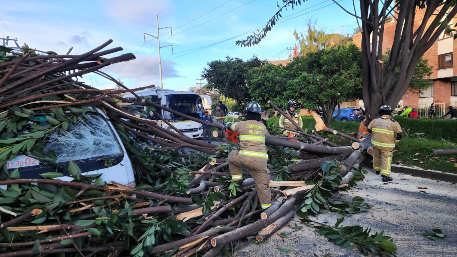 Cayó árbol sobre ruta escolar en el norte de Bogotá, se reportan tres personas heridas