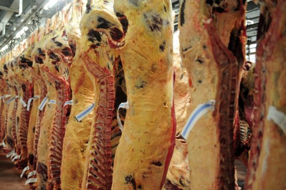 China levanta parcialmente embargo de carne bovina de EE.UU.