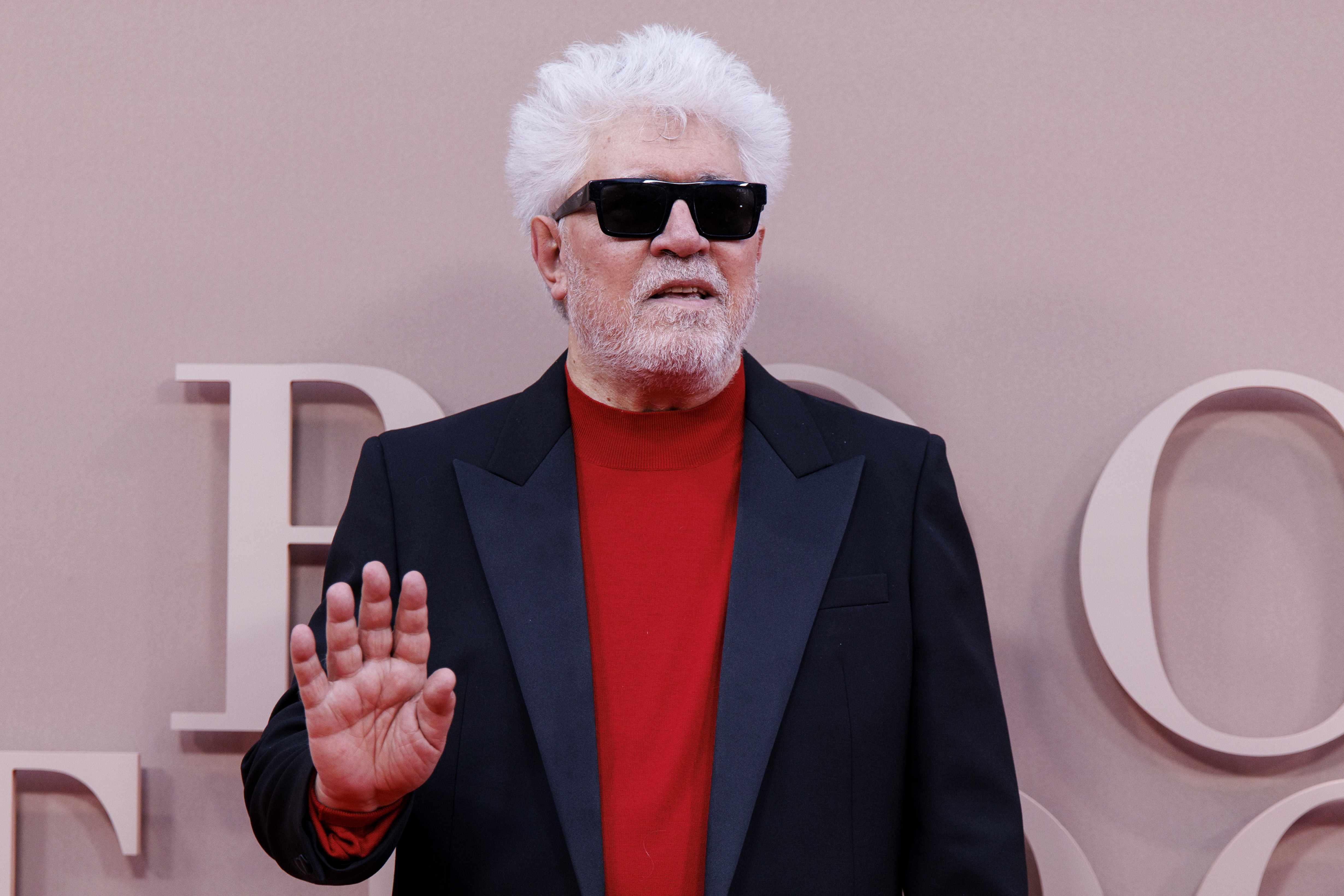 Almodóvar y artistas exigieron al presidente español un embargo de armas a Israel