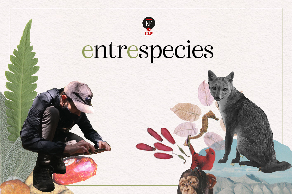 La vida secreta de los animales de carretera | Entrespecies