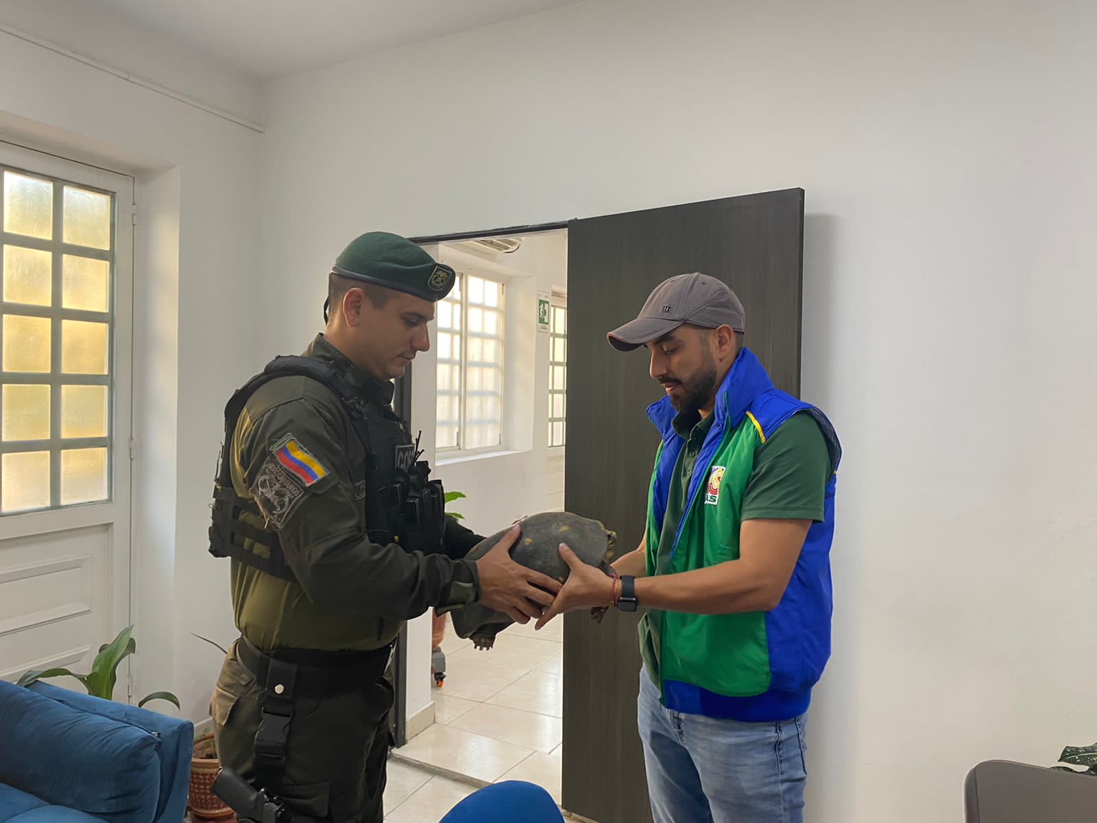 ¡Buenas noticias! Recuperan a 24 tortugas morrocoy en Barrancabermeja