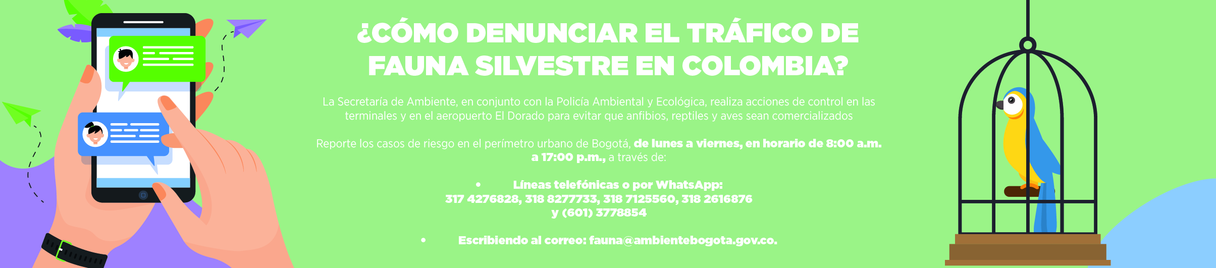 Tráfico de fauna