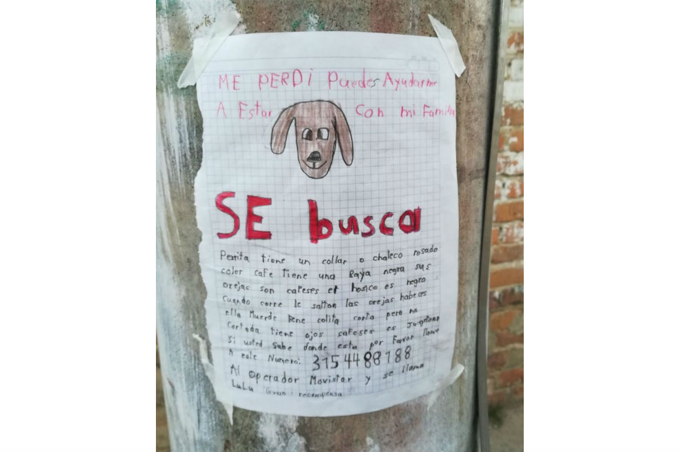 El tierno retrato hecho a mano con el que un niño encontró a su mascota