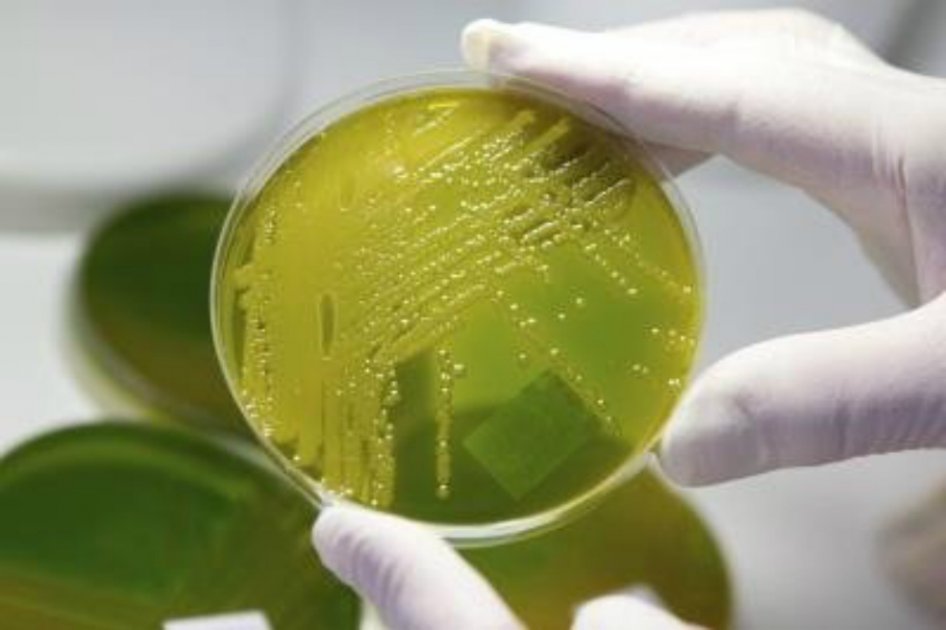 Dos muertos en Florida por bacteria de agua marina que devora la carne