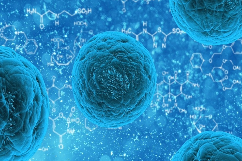 Una importante conexión entre el asma y las bacterias en el intestino