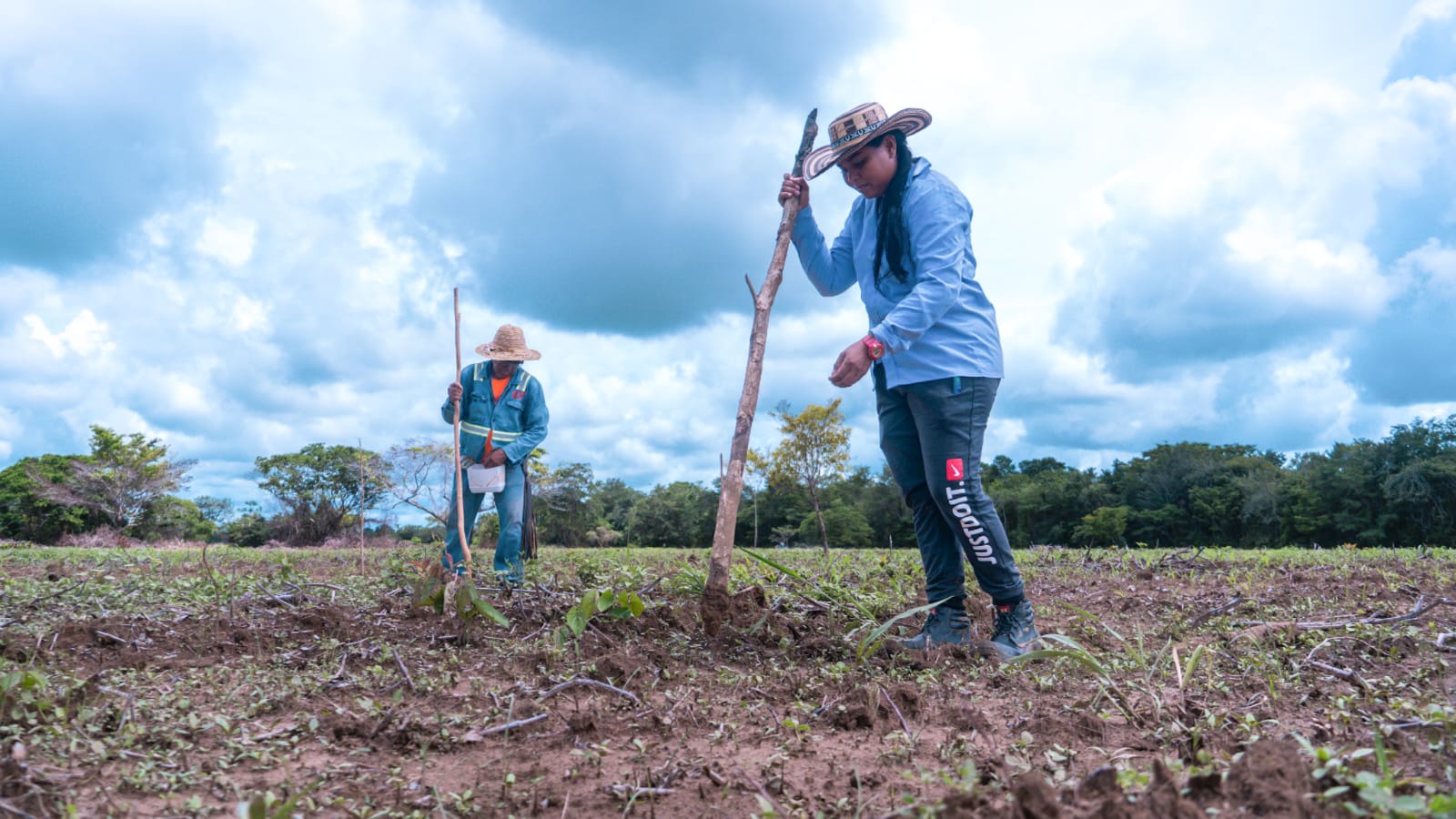 Pese a mensaje de urgencia, no se discutió en el Congreso la Ley de Jurisdicción Agraria