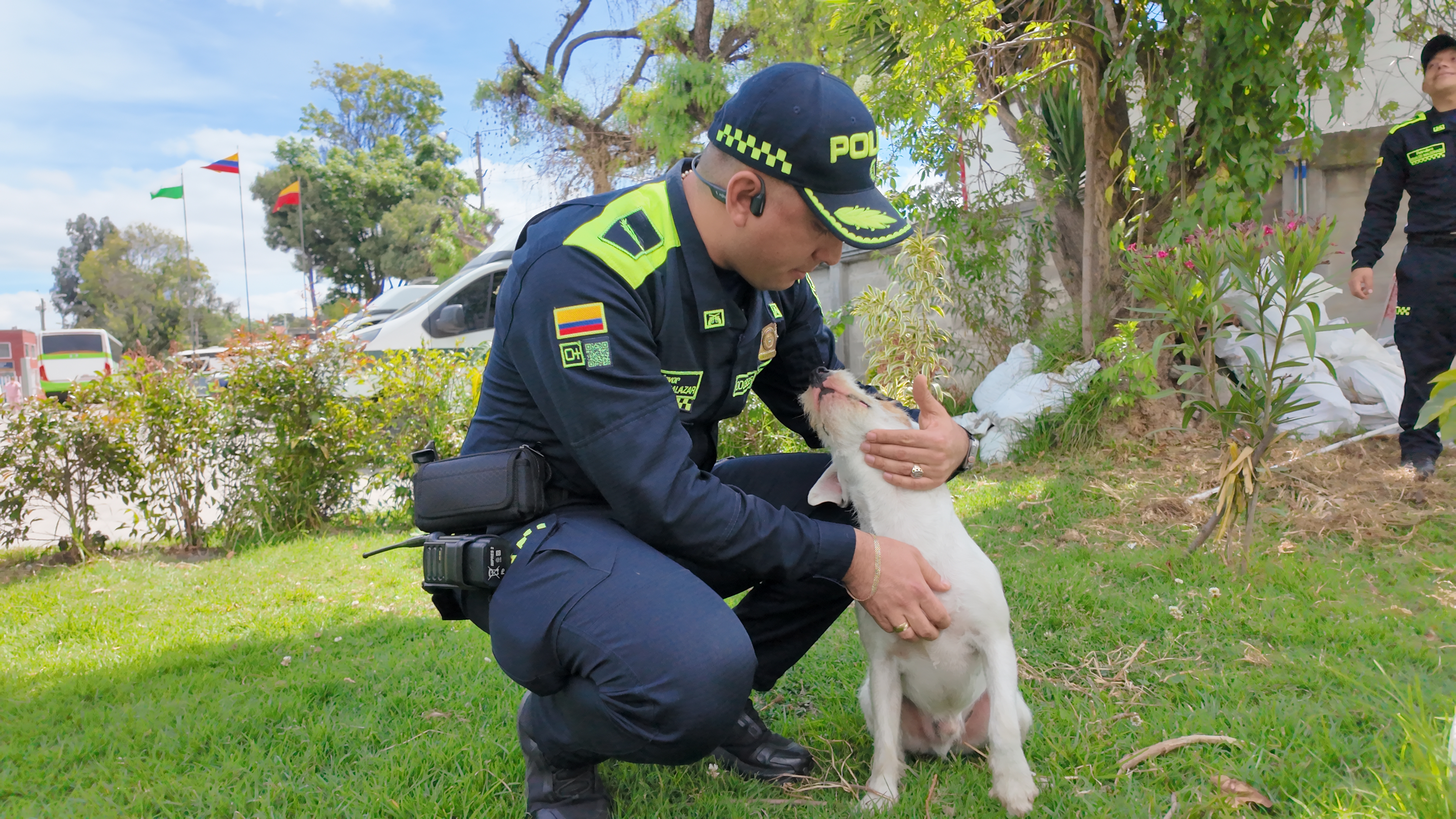 Perros callejeros de Bogotá encuentran refugio en estación de policía de Kennedy