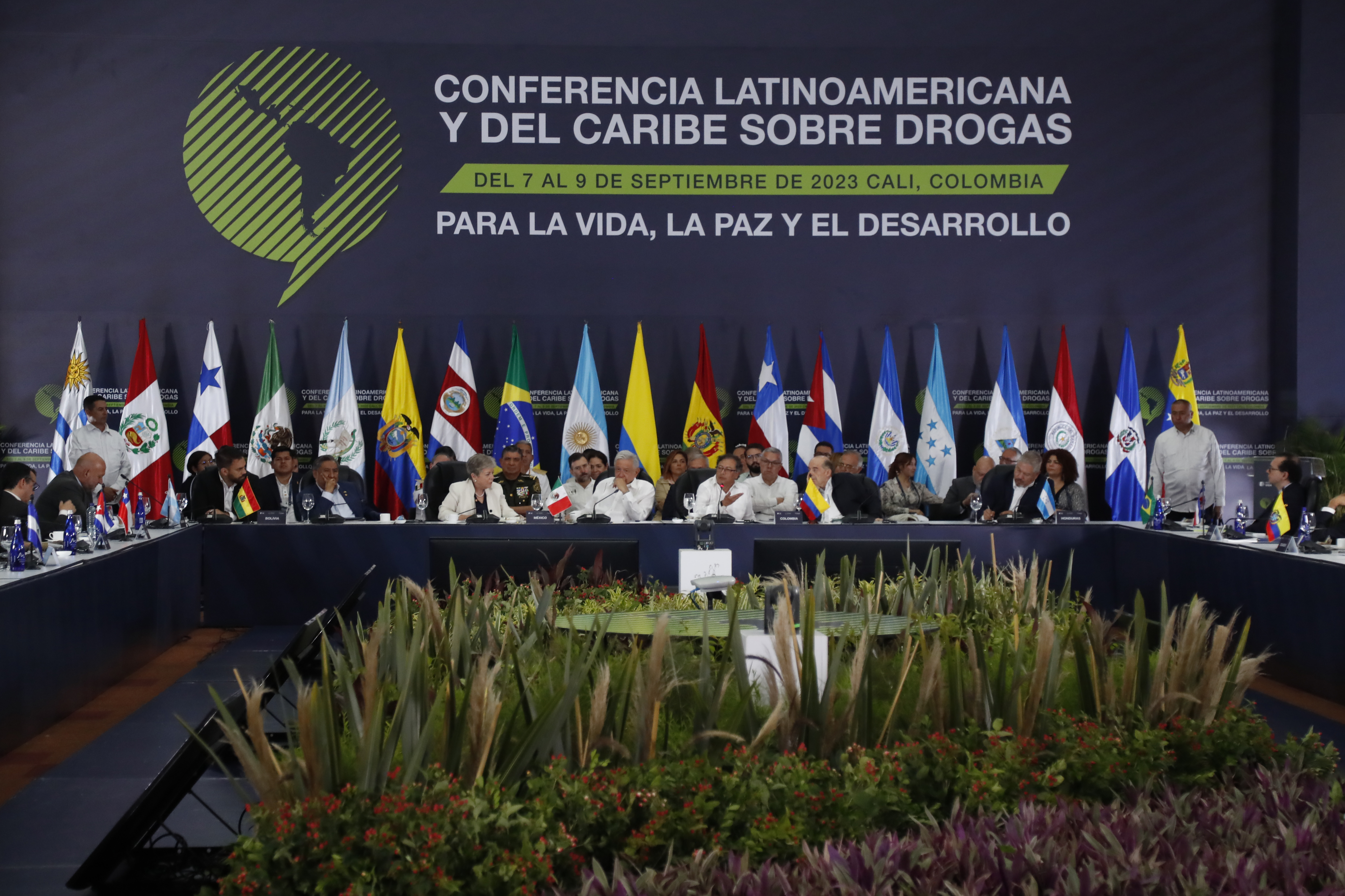 Que el viraje en la política antidrogas se ejecute