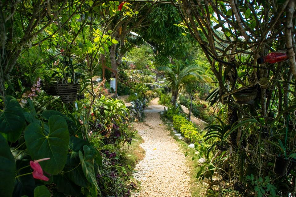 Ahhh Ras Natango Garden & Gallery
