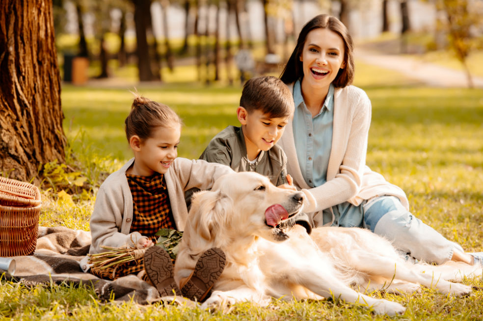 ¿Cómo prevenir la gastritis en tu mascota?