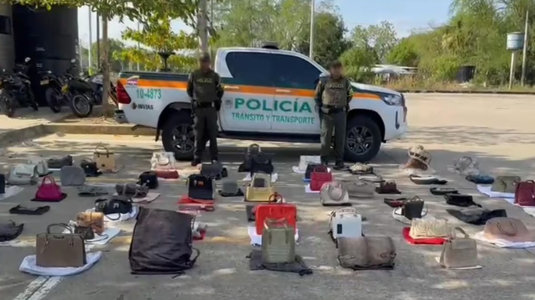 Hallazgo en Córdoba: sacrificaron 62 animales para fabricar bolsos