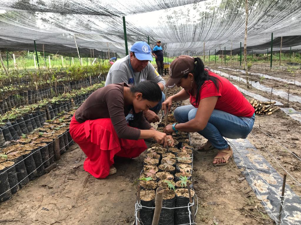Día Internacional de la Juventud: las apuestas de la juventud rural de Colombia