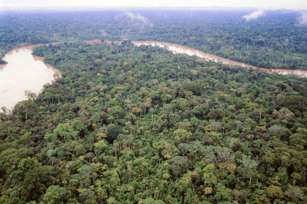 «Metas económicas deben relacionarse con lo ambiental»