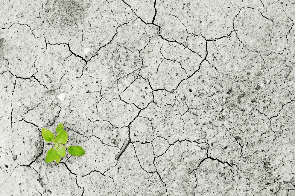 Un Nobel alrededor del crecimiento económico y el cambio climático