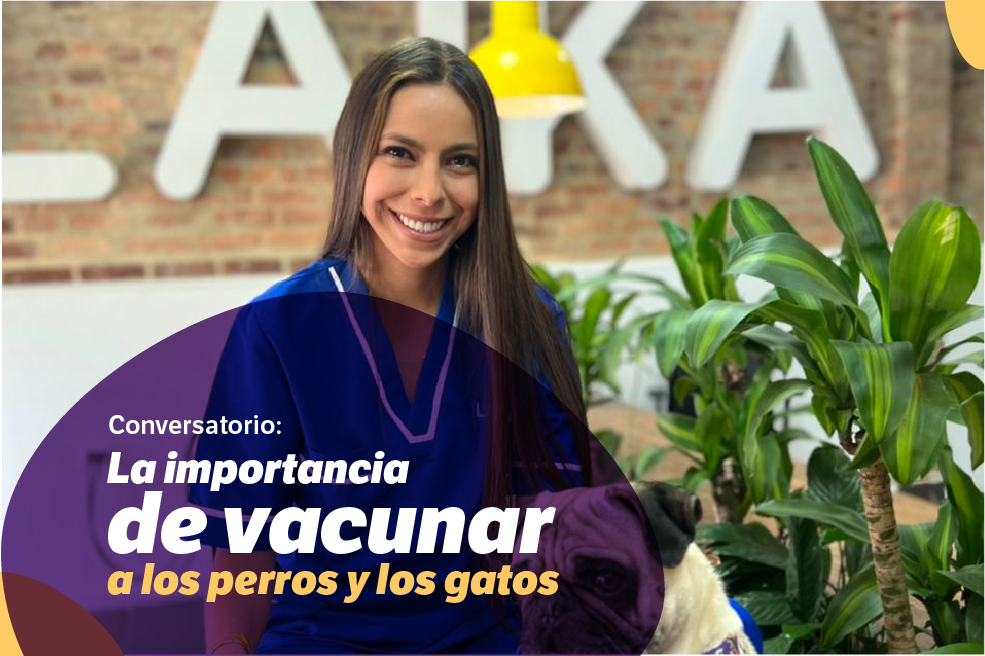 ¡Si te lo perdiste! Revive el evento exclusivo para tus mascotas