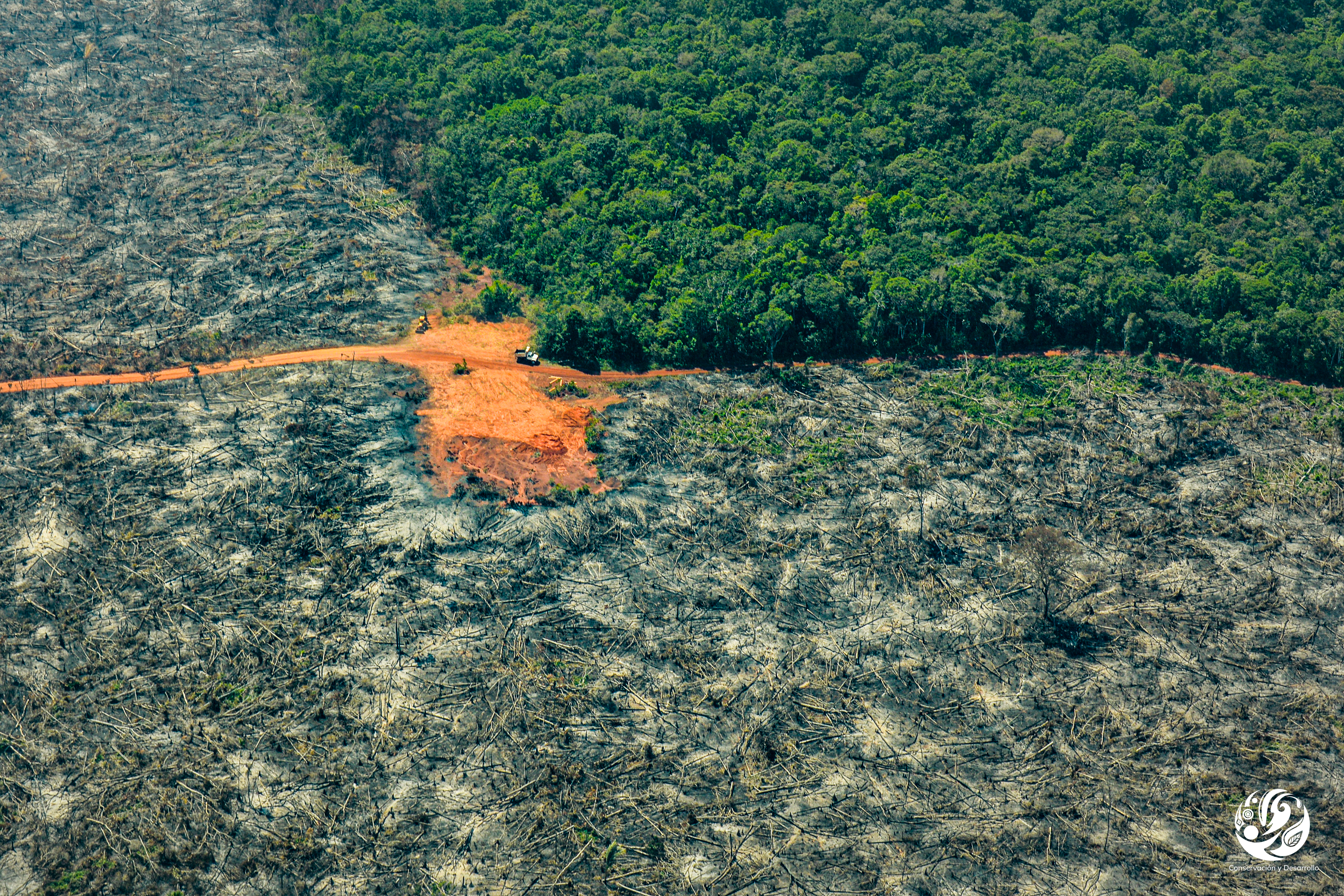 Deforestación en reservas de Amazonía aumentó 79 % durante Gobierno de Bolsonaro