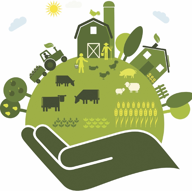 ¿Formalización de tierras superflexible?