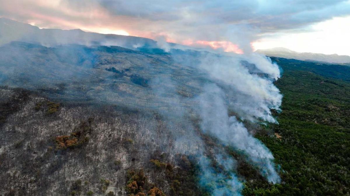 No solo en Colombia: fuerte incendio en Argentina ya quemó más de 600 hectáreas