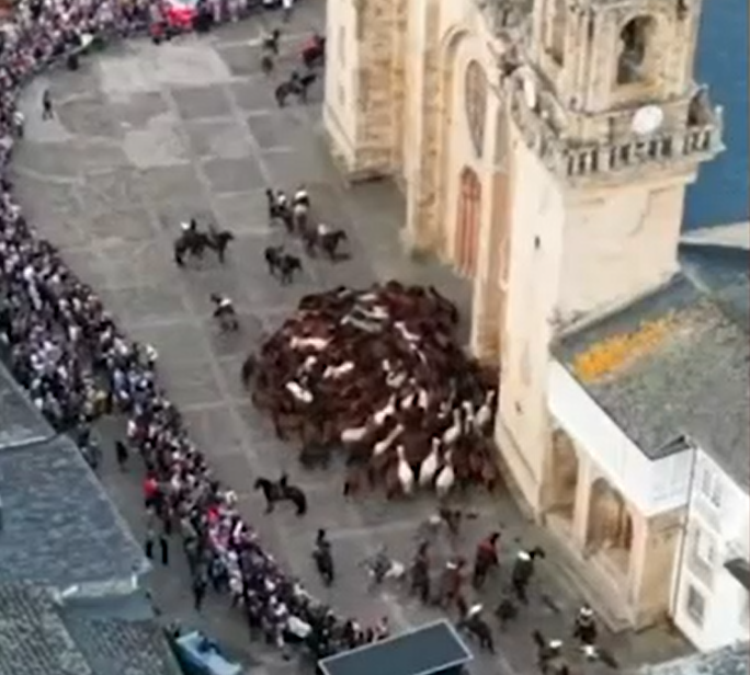Caballos caminan en círculos.