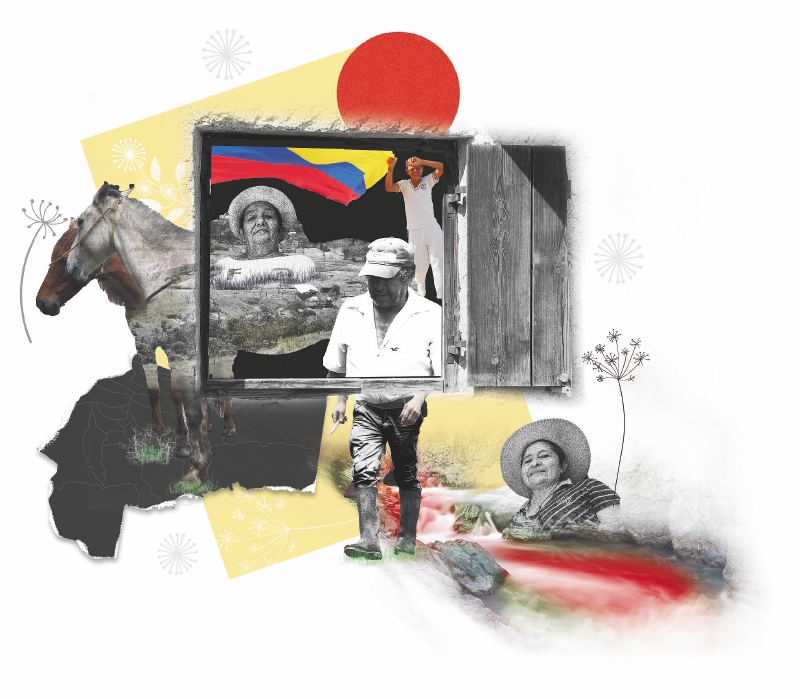 Periodismo colaborativo para visibilizar los esfuerzos de paz en el Meta