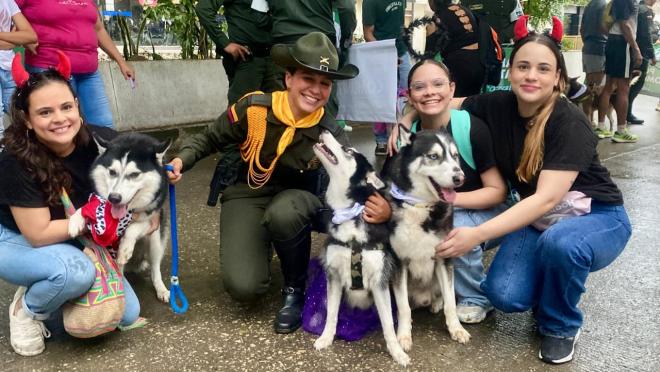 Así se vivió la tercera gran caminata de animales de Sincelejo