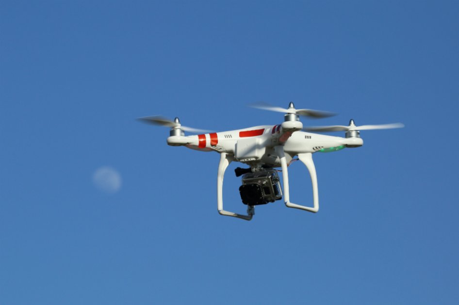 Scotland Yard considera empleo de águilas adiestradas para interceptar drones