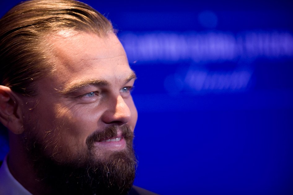 Leonardo DiCaprio recauda US$ 40 millones para salvar el medio ambiente