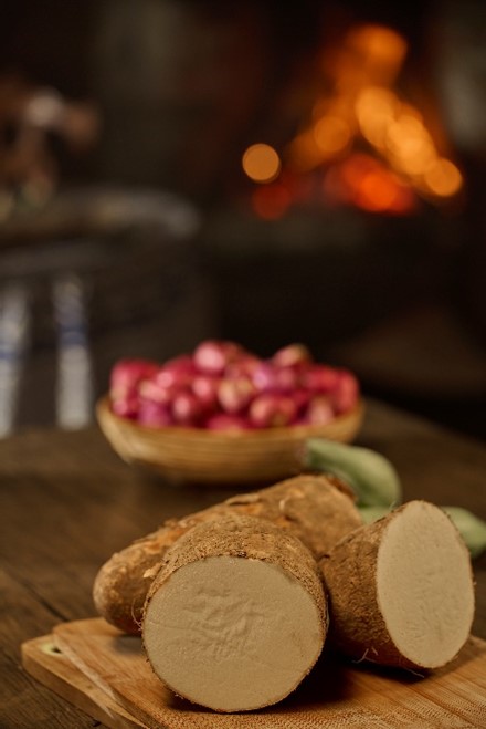 Crea deliciosos platos dulces o salados con lo mejor de mi tierra.