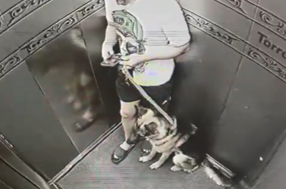 Cámara graba a hombre maltratando cruelmente a un perro en ascensor de Bogotá