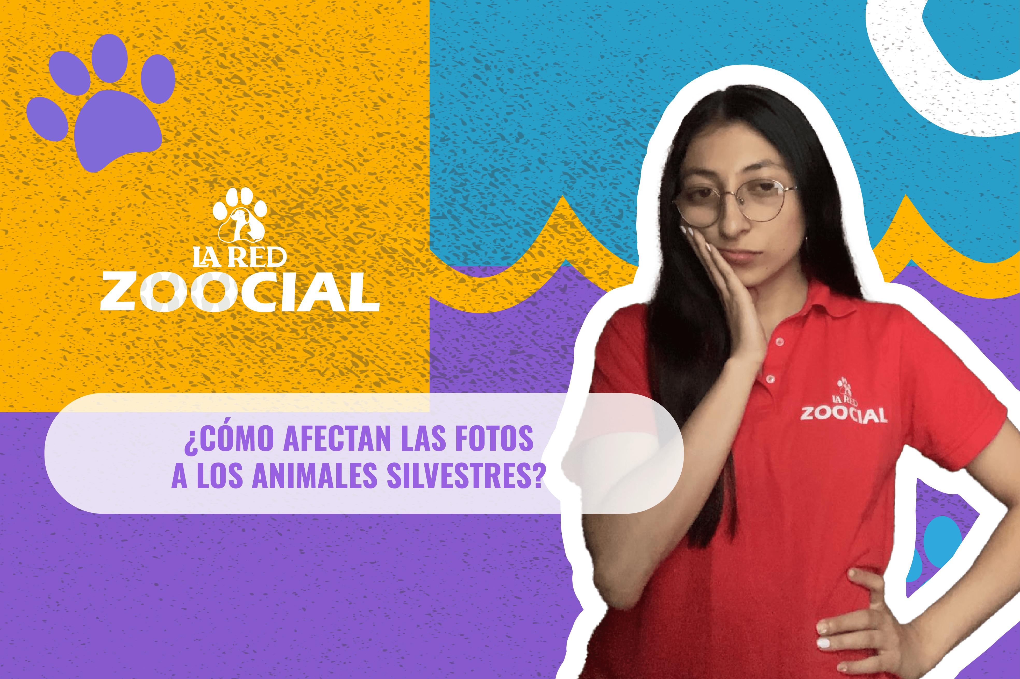 ¿Cómo afectan las fotos a los animales silvestres?