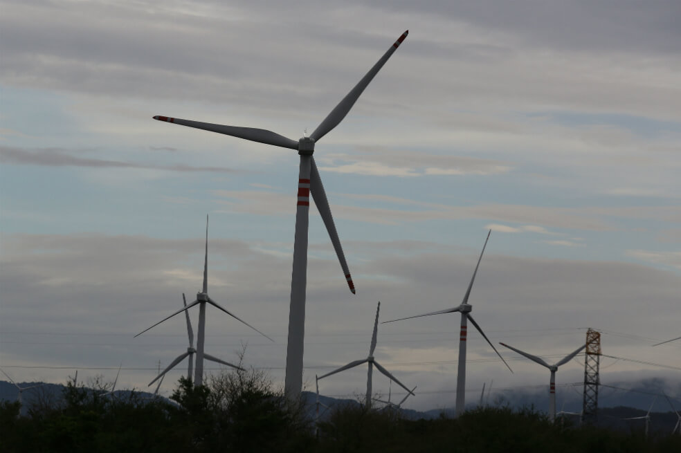 BID impulsa emisión de bonos verdes en América Latina