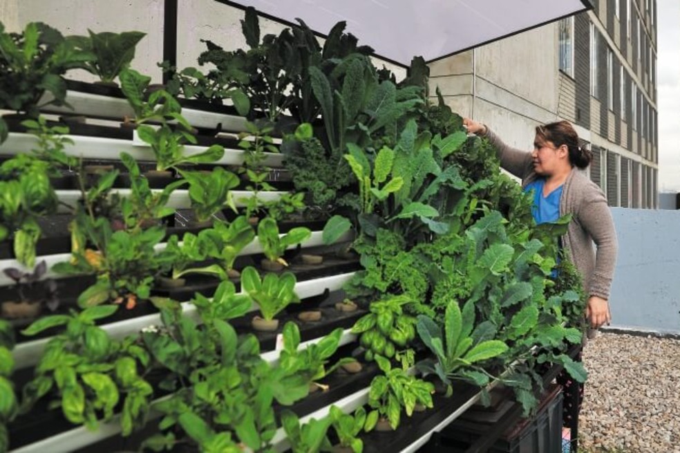 La FAO, en uno de sus informes, resalta que cerca del 15 % de los alimentos a escala mundial se producen en las ciudades. / Óscar Pérez - El Espectador