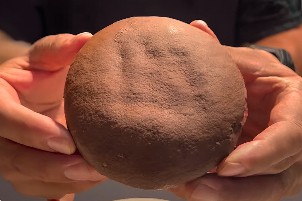 Galleta "cuca"